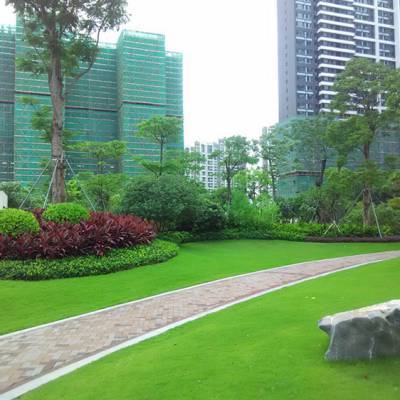 中山地產(chǎn)綠化園林施工價(jià)格解析 佛嶺景觀的專(zhuān)業(yè)視角